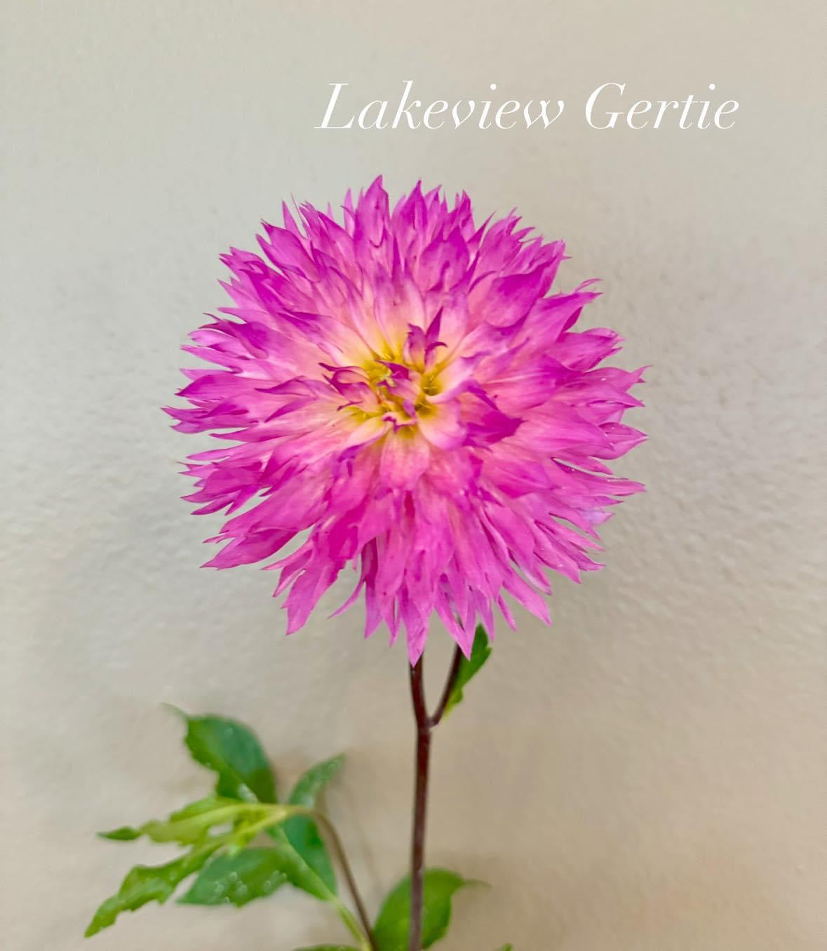 Lakeview Gertie