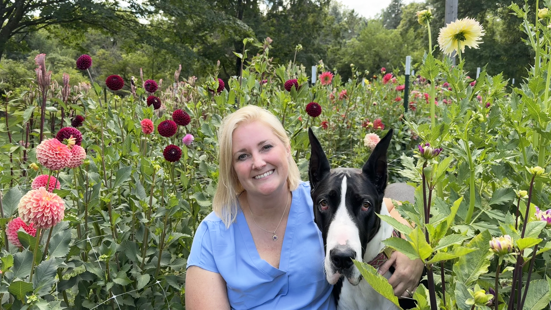 Owner of Summer Meadow Dahlia Farm